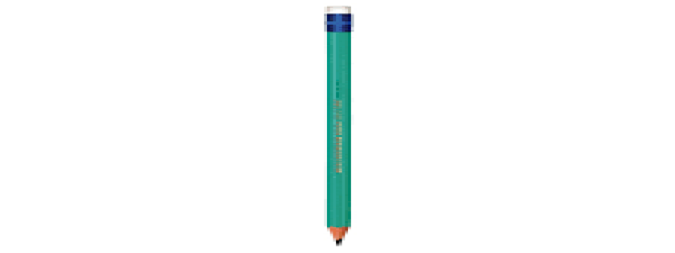 LAPIS  EVOLUTION C/ BORRACHA HB 